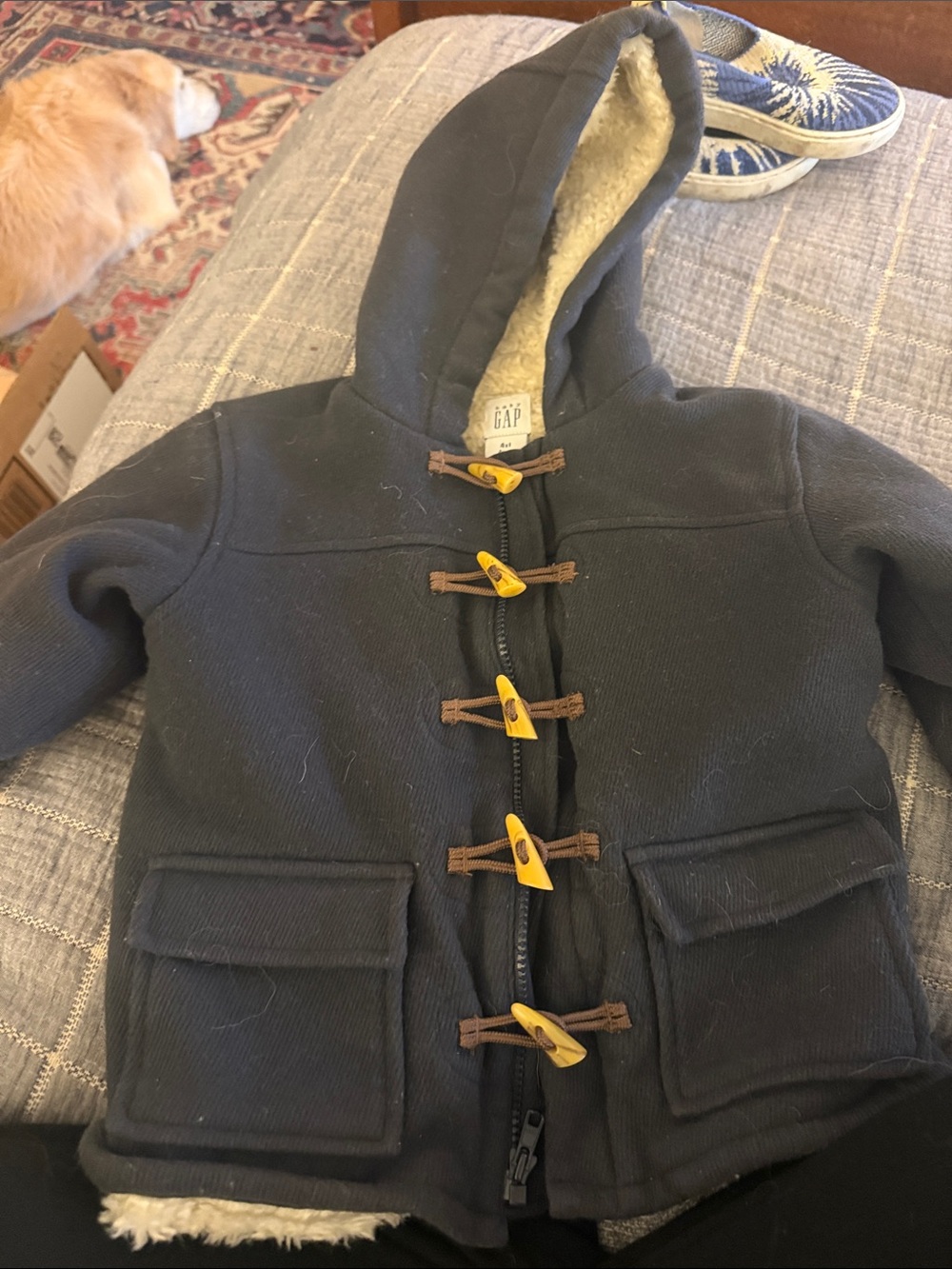 GAP Blue Kids Hooded Pea Coat with Yellow Toggle Accents